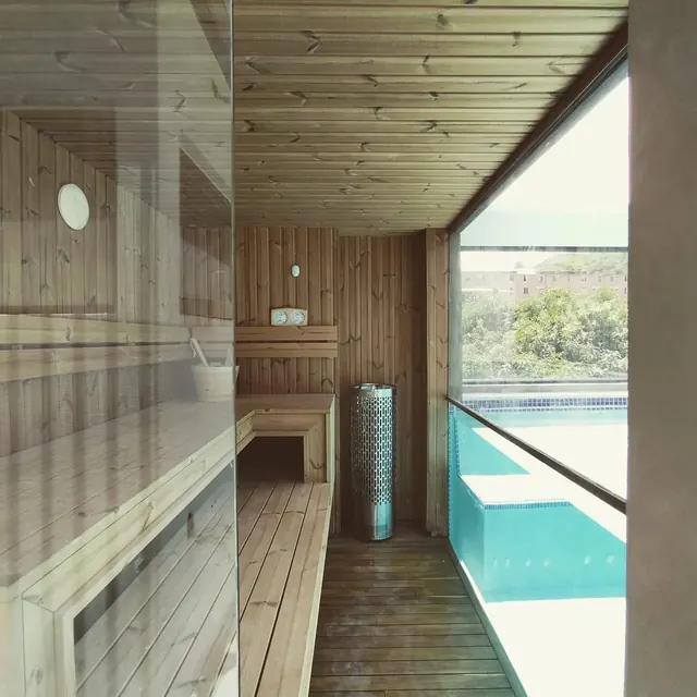 Vista del proyecto Sauna Interior Panorámico con piscina, Hispania